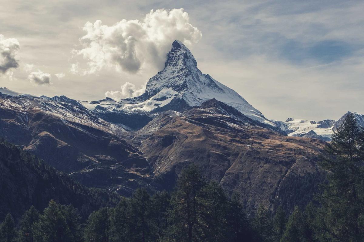 Keimtheorie-Leugnung: Viren-Mythen & Terrain-Theorie