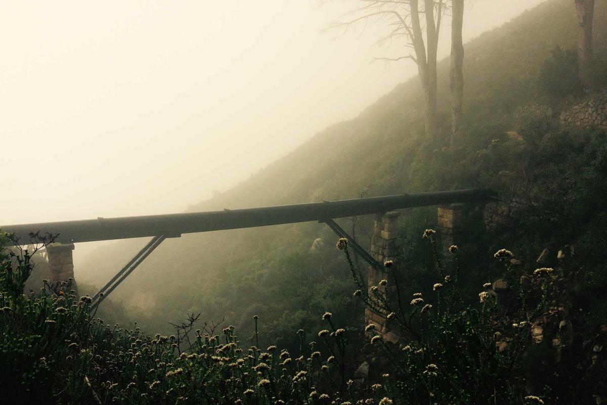 Orgonlehre nach Wilhelm Reich im Faktencheck