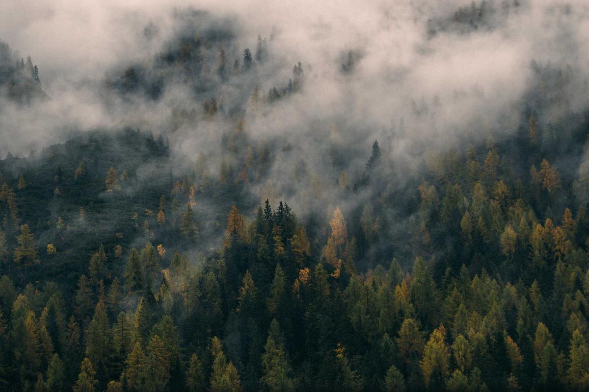Signaturenlehre: Das Zeichen der Natur & moderne Mythen