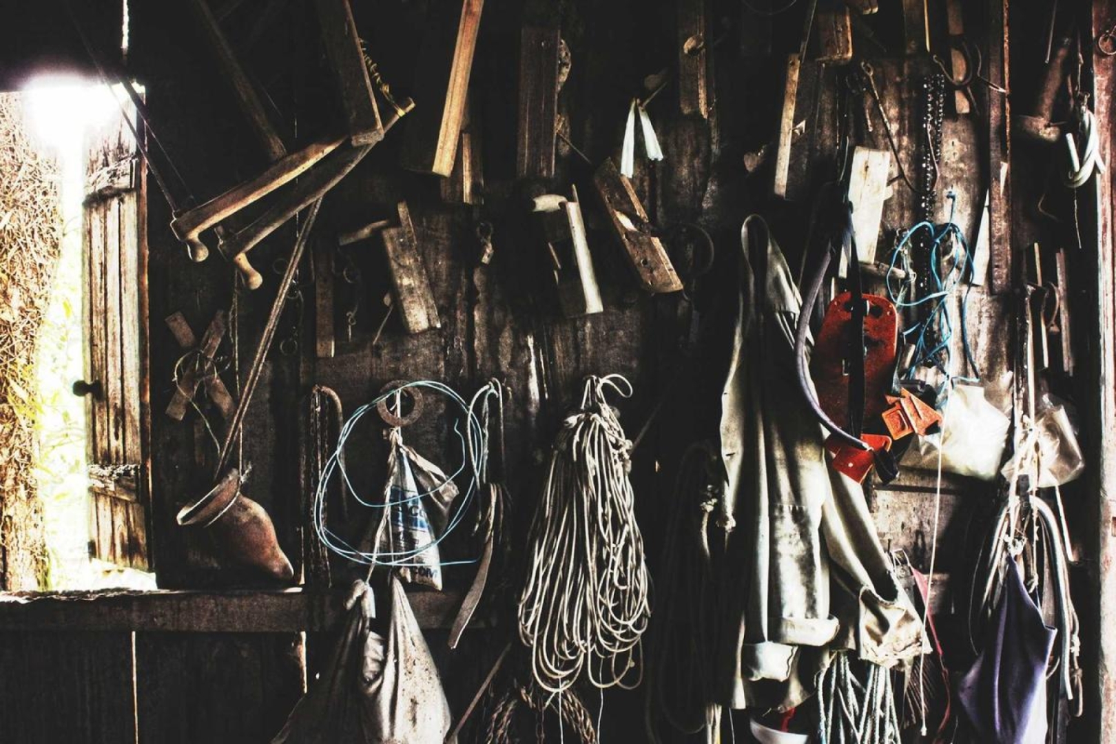 Der Mythos der wohlwollenden Natur: Natürlich = Besser?