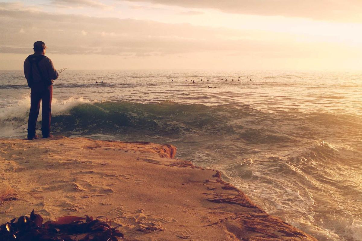 Das Hormonsystem: Endokrinologie, Hormone & Mythen