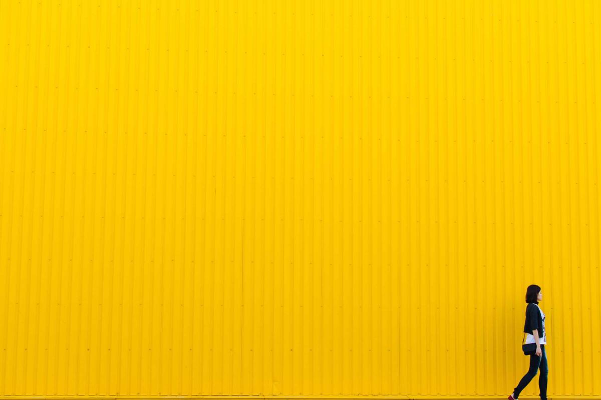 Lernen: Wie Neuroplastizität unser Gehirn umbaut