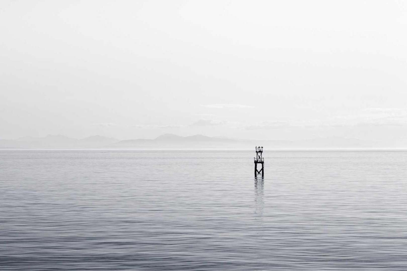 Psychologischer Essenzialismus & Gesundheitsmythen